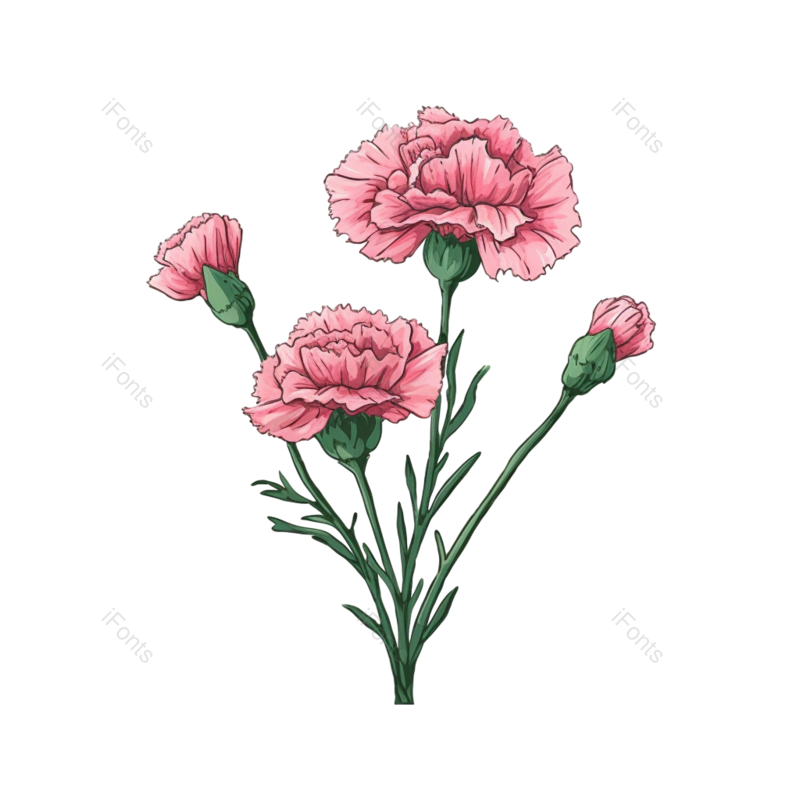 装饰图片,节日元素,鲜花PNG,花朵插画免抠素材